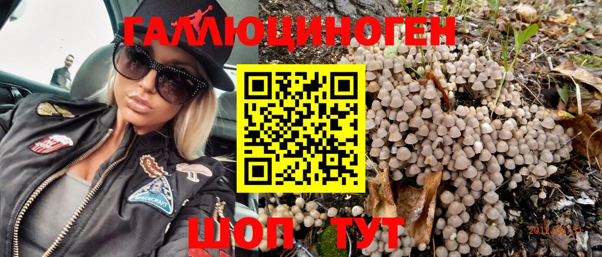 Луховицы  Галлюциногенные грибы MAGIC MUSHROOMS  Галлюциногенные грибы Psilocybine cubensis  Вход с VPN 